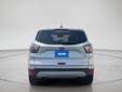 Ford Escape 2017 M8613