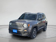 Jeep Renegade 2018 C5420