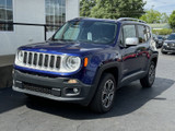 Jeep Renegade 2017 W2993A