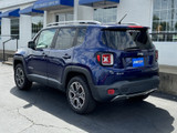Jeep Renegade 2017 W2993A