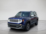 Jeep Renegade 2017 W2993A