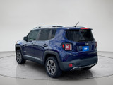 Jeep Renegade 2017 W2993A