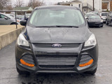 Ford Escape 2015 C55022 Ford Escape 2015 C55022