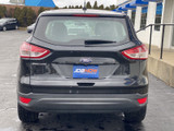 Ford Escape 2015 C55022