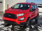 Ford EcoSport 2018 M8473