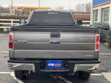 Ford F-150 2013 G19857