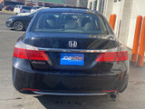 Honda Accord Sdn 2013 243564