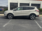 Ford Escape 2017 M8505