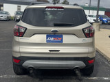 Ford Escape 2017 M8505