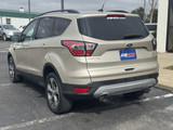 Ford Escape 2017 M8505
