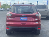 Ford Escape 2017 M8616