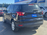 Ford Escape 2019 C5124 Ford Escape 2019 C5124