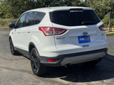 Ford Escape 2015 M8621 Ford Escape 2015 M8621