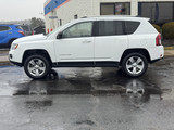Jeep Compass 2015 M8762