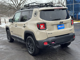 Jeep Renegade 2017 E227