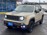 Jeep Renegade 2017 E227