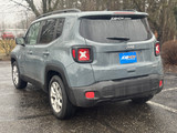 Jeep Renegade 2018 M8786