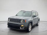 Jeep Renegade 2018 M8786