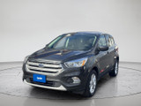 Ford Escape 2019 C5084