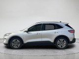 Ford Escape 2020 CL709