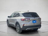 Ford Escape 2020 CL709