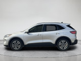 Ford Escape 2020 CL709