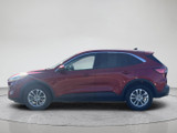 Ford Escape 2020 Am599