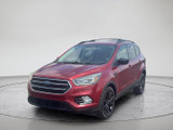 Ford Escape 2017 M8616