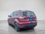 Ford Escape 2017 M8616