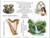 Alpha and Omega (Revelation) Art Kit