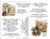 Clay in the Potter's Hand Art and Ephemera Kit