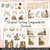 Jeremiah Scripture Writing Companion Kit