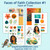 Face of Trust Mixed Media Starter Kit