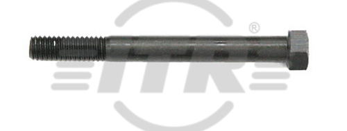 BOLT, 3/8X3.1/2