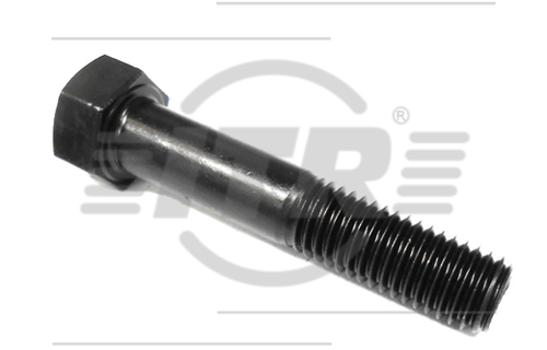 BOLT, 5/8X3.1/2