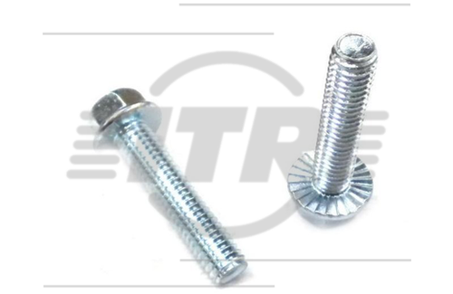BOLT, 3/8X3.1/4