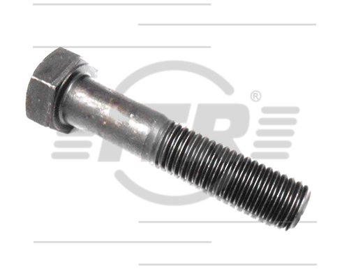 BOLT, 3/4X3.1/2