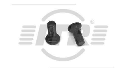 BOLT, 5/16X3/4