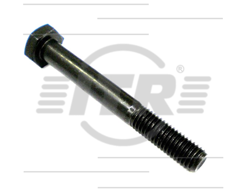 BOLT 10MM X 80