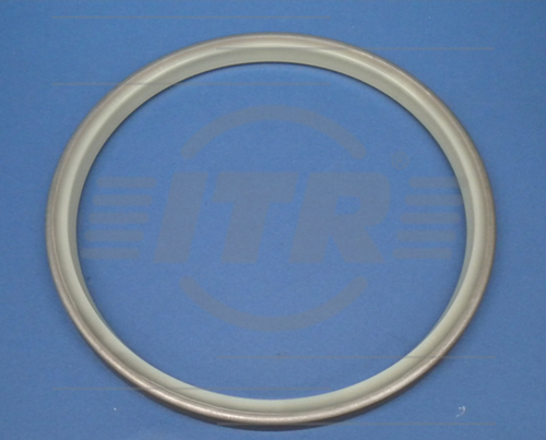 DUST SEAL