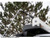 8-19 Foot Tarp Kit 900W/90:1 Gear Motor - 4 Springs Without Wind Deflector-1