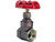 1/2 Inch Gate Valve
