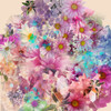 Floral Frenzy | Framed Digital Art Giclée Print on canvas