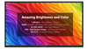 49" Solis Series - Smart Outdoor TV - Full Sun - 4K UHD HDR SB-FS-49-BL