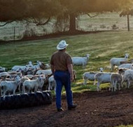 Tour De Farm Spotlight: White Oak Pastures