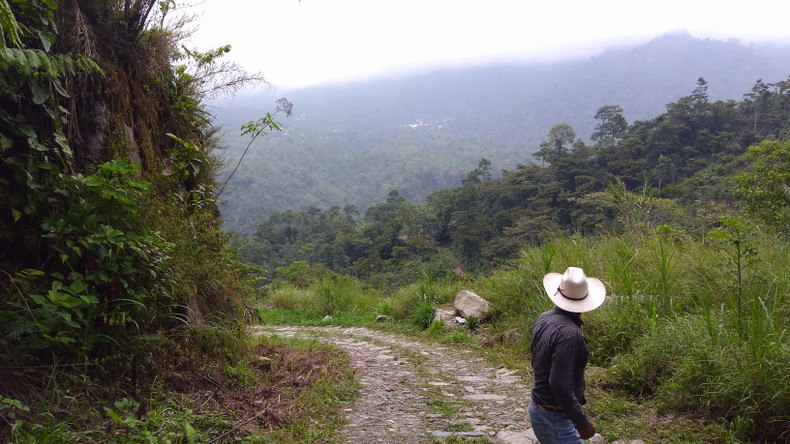 Coffee Education at Origin: Our Roaster Gets a Deeper Look in Guatemala