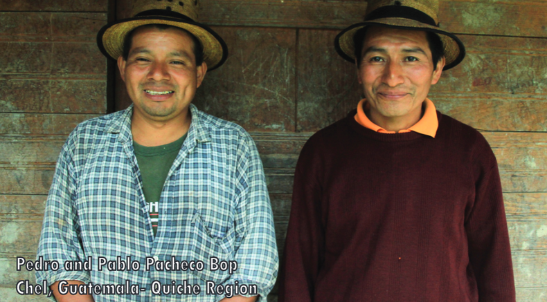 Specialty Coffee Happens thanks to Indigenous Peoples