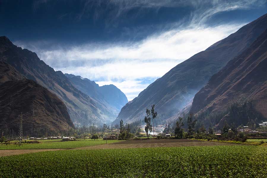 An organic farm leading to coffee growing areas in the Andres Mountains of Peru.