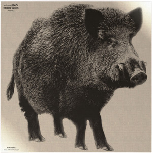INFRARED-ID RBOARL1     THERM BOAR TARGT