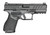 Springfield Armory ECA9409B Echelon Alpha 40.C 9mm Luger 15+1 4" Black Melonite Barrel & Optic Ready/Serrated Slide, Black Polymer Frame w/Picatinny Rail Adaptive Texture Grip